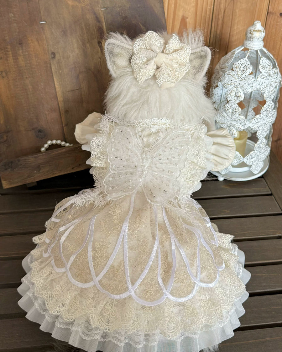 Rontop beige lace pearl butterfly pet dress for cats and small dogs