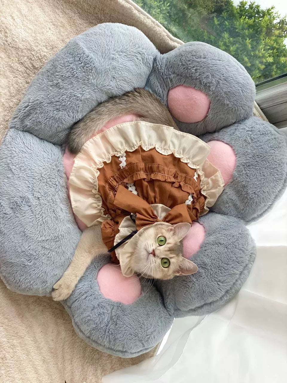 Khaki Bunny Lolita Cat Princess Dress, Dog Clothes for Small Dogs