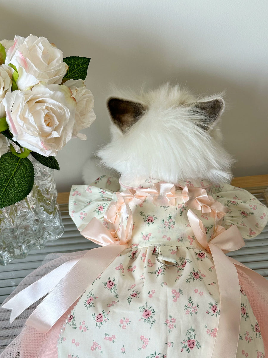 Ruffle Princess Cat Dress & Cat Outfit