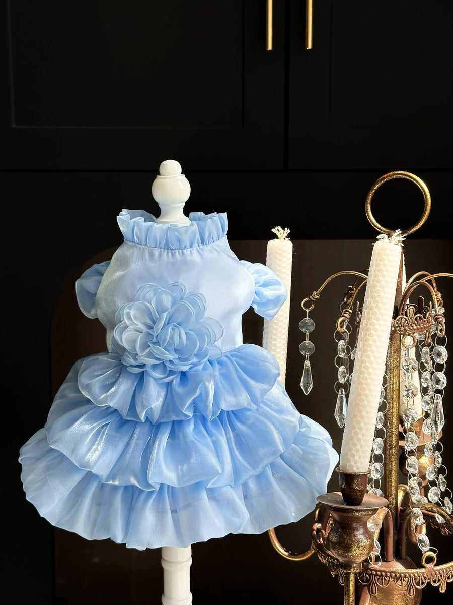 Deep Sea Fairy Small Dog Dress, Cat Wedding Outfit