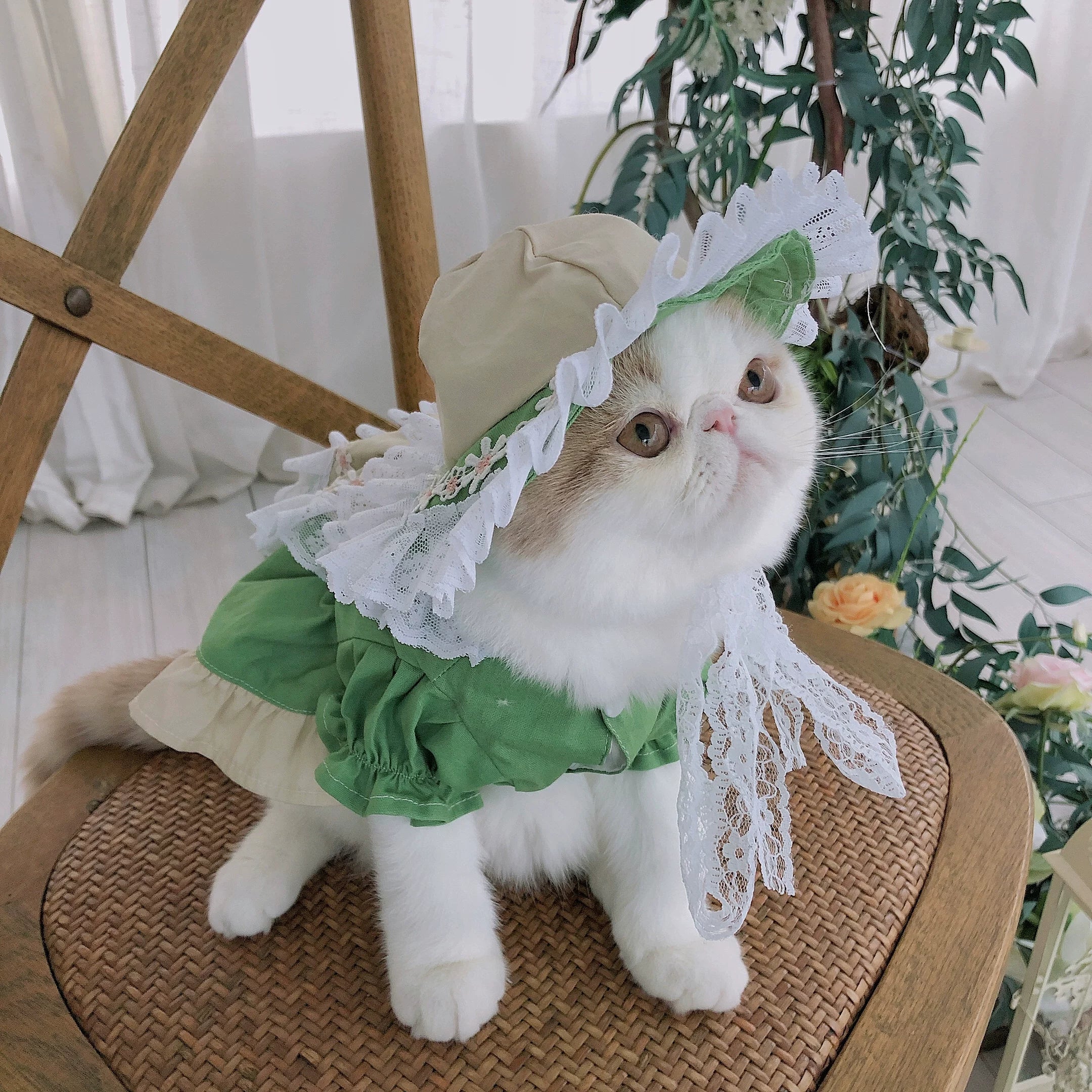 Maid Style Cat Outfit, Clothes for Small Dogs with Hat