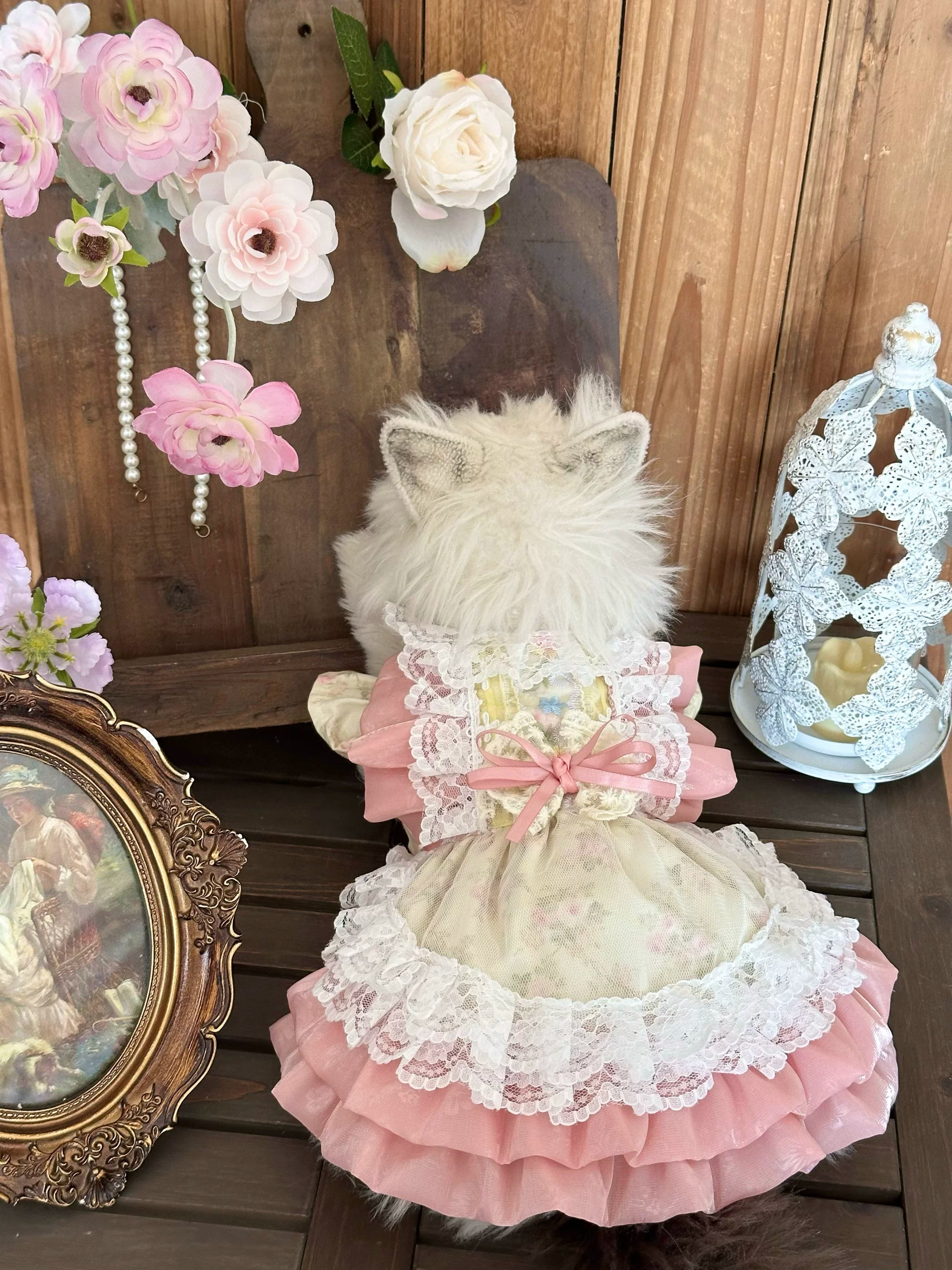 Spring Meadow Floral Cotton Pet Dress for Cats and Small Dogs - Image 5