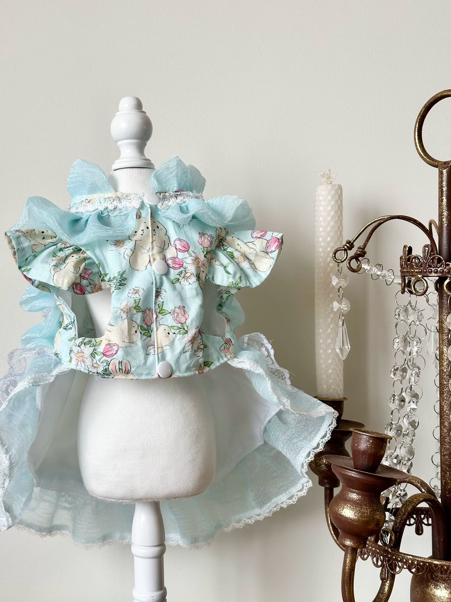 Blue Bunny French Lace Cat Clothes, Pet Apparel - image 12