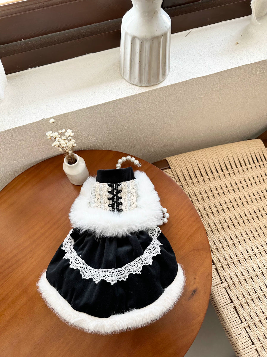 Black Velvet Cat Dress, Cat Winter Clothes Party Outfit