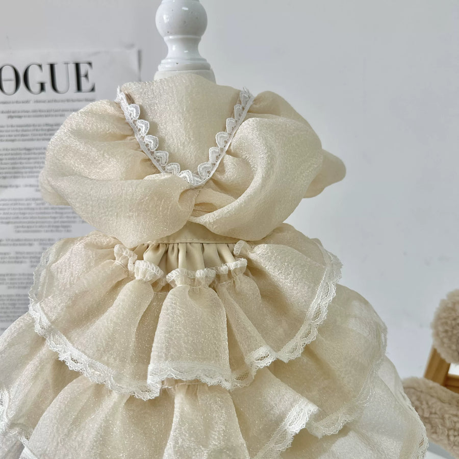 Minimal Korean Lace Cat Dress, Dog Clothes for Small Dogs