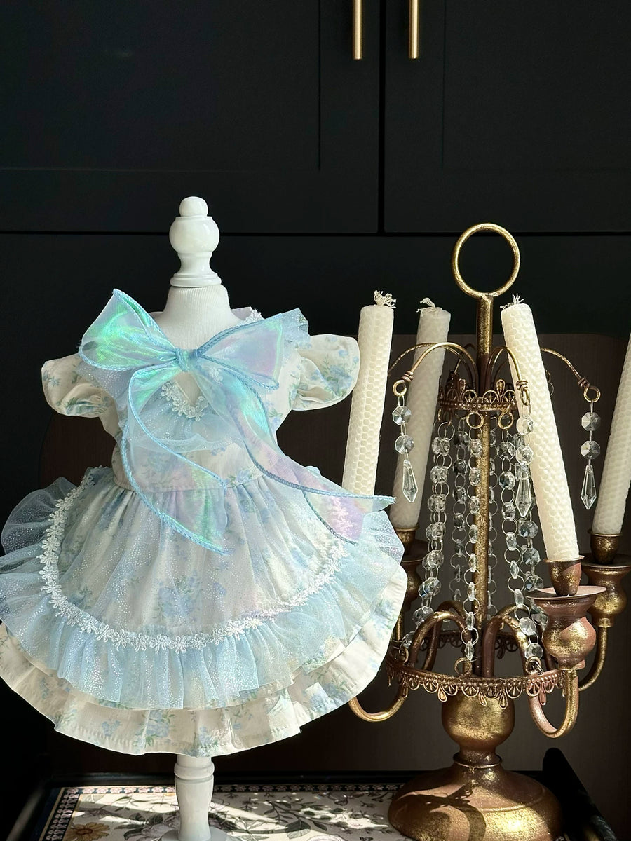 Blue Rose Cat Princess Dress, Cat Outfit