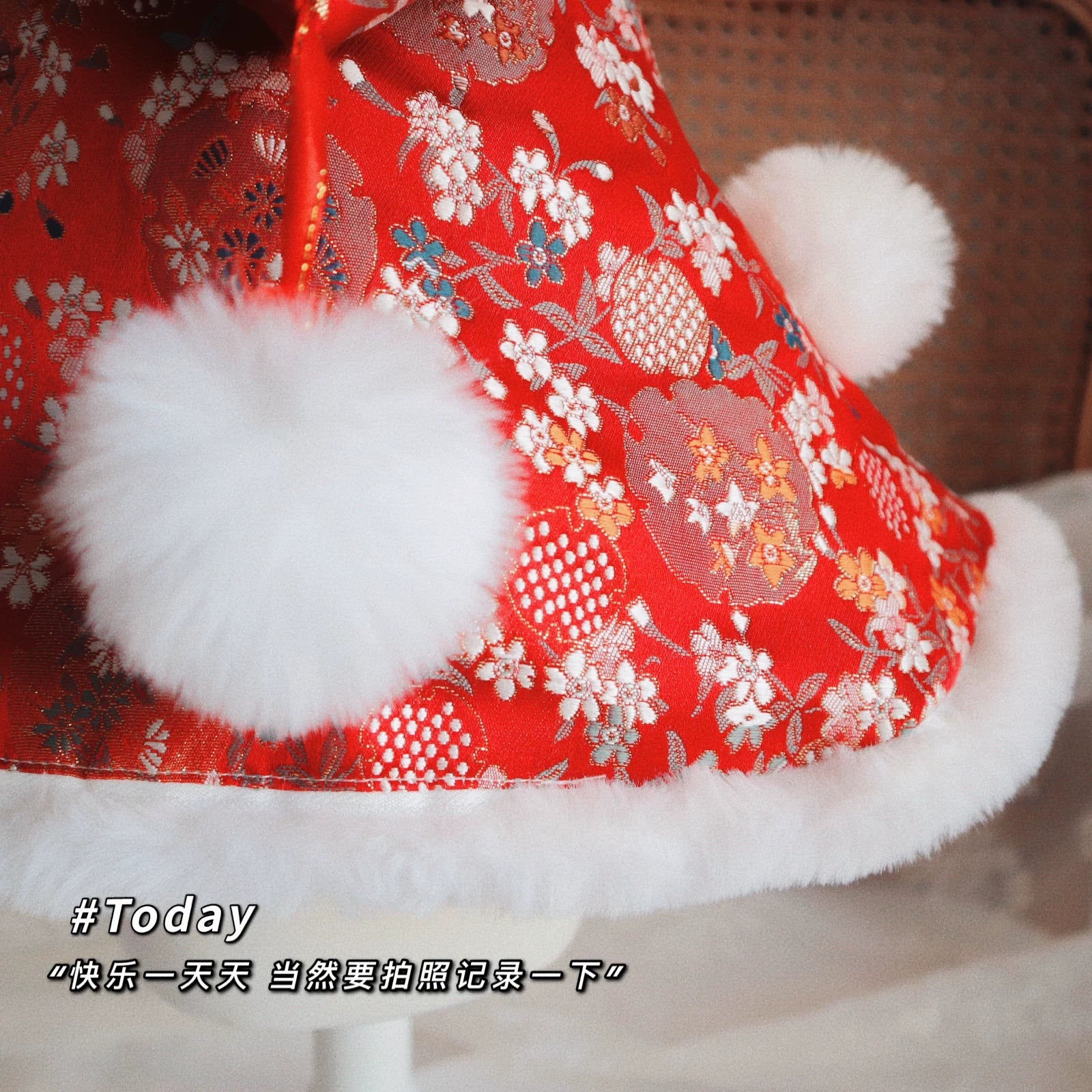 Red Chinese New Year Cat Outfit, Dog Clothes for Small Dogs