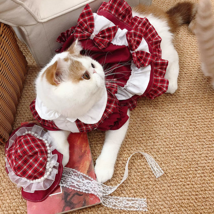 Cat Birthday Clothes & Cat Birthday Outfit