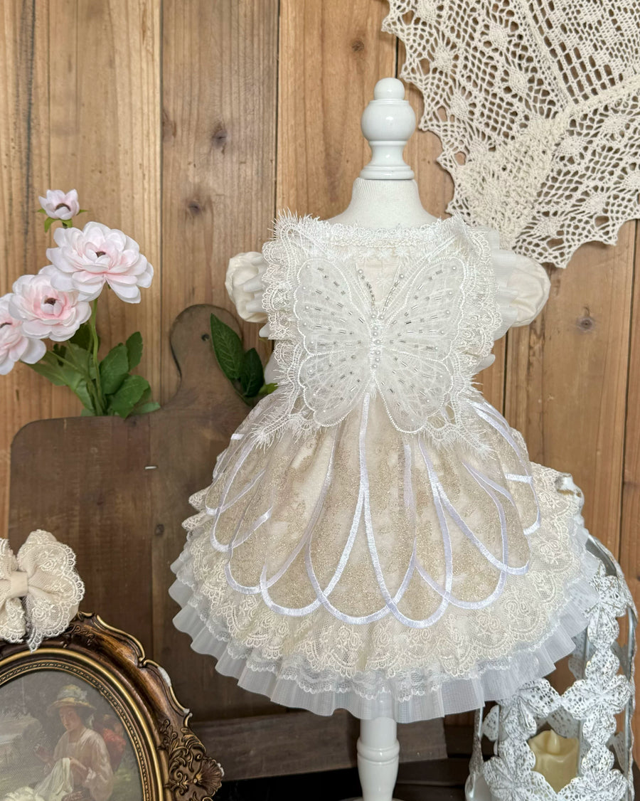 Rontop beige lace pearl butterfly pet dress for cats and small dogs
