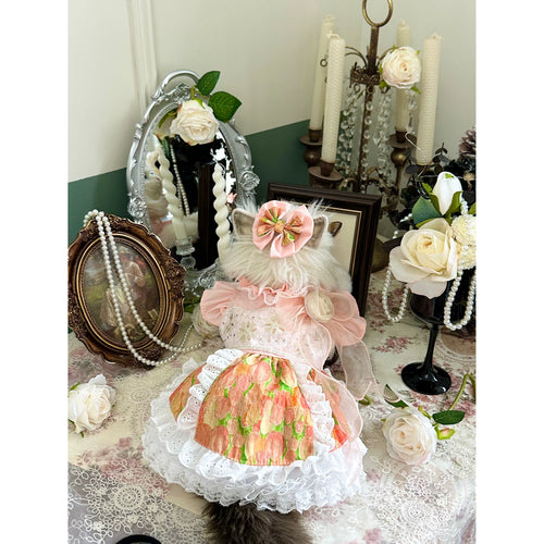 Butterfly Floral Cat Dress, Clothes for Small Dogs