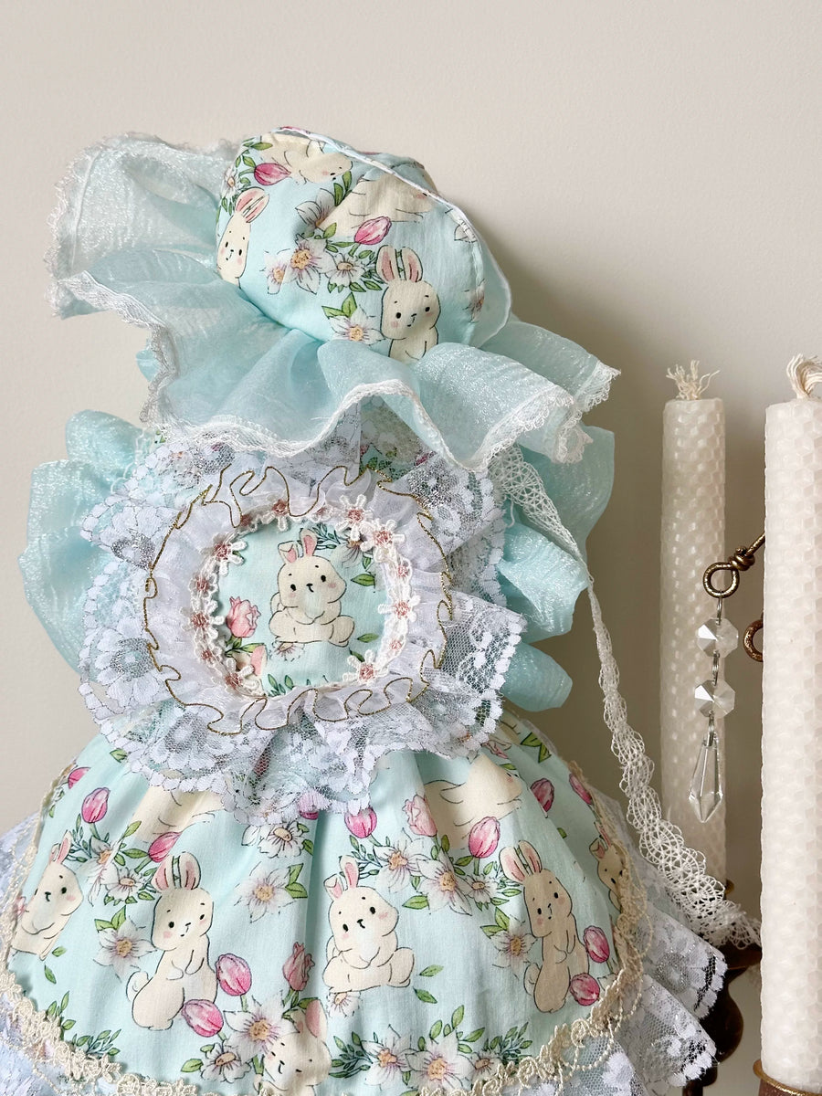 Blue Bunny French Lace Cat Clothes, Pet Apparel - image 11