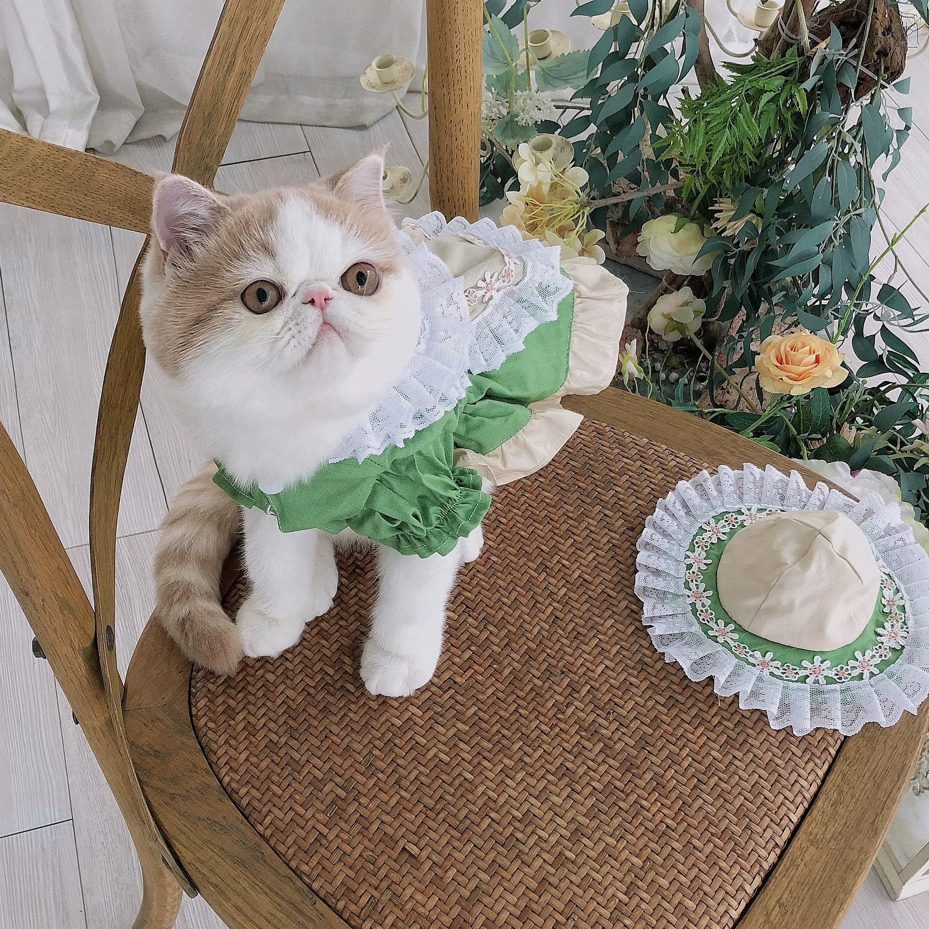 Maid Style Cat Outfit, Clothes for Small Dogs with Hat
