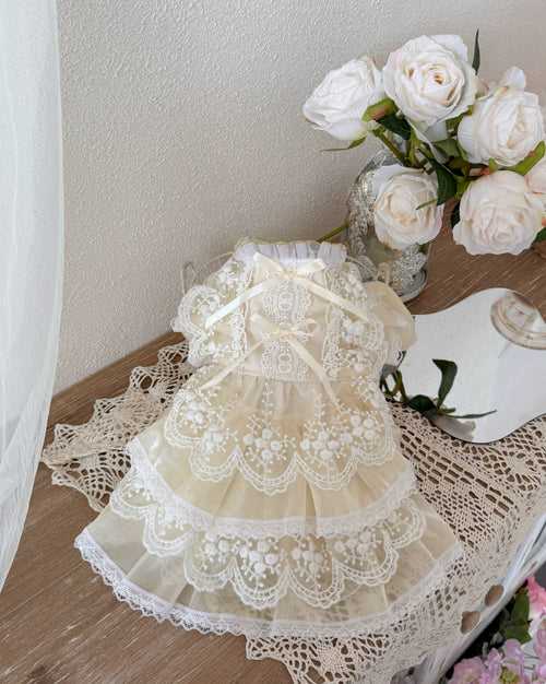 Beige Iridescent Lace Pearl Pet Dress for Cats and Small Dogs