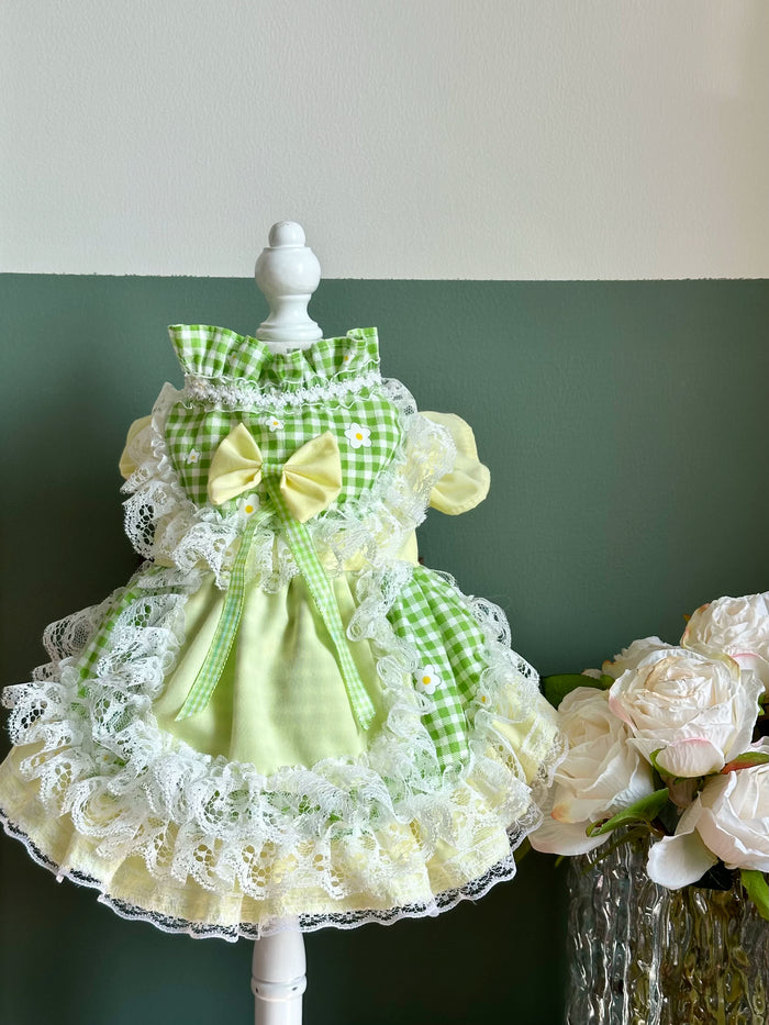 Melon Milkshake Picnic Clothes for Small Dogs, Cute Cat Clothes - image 1