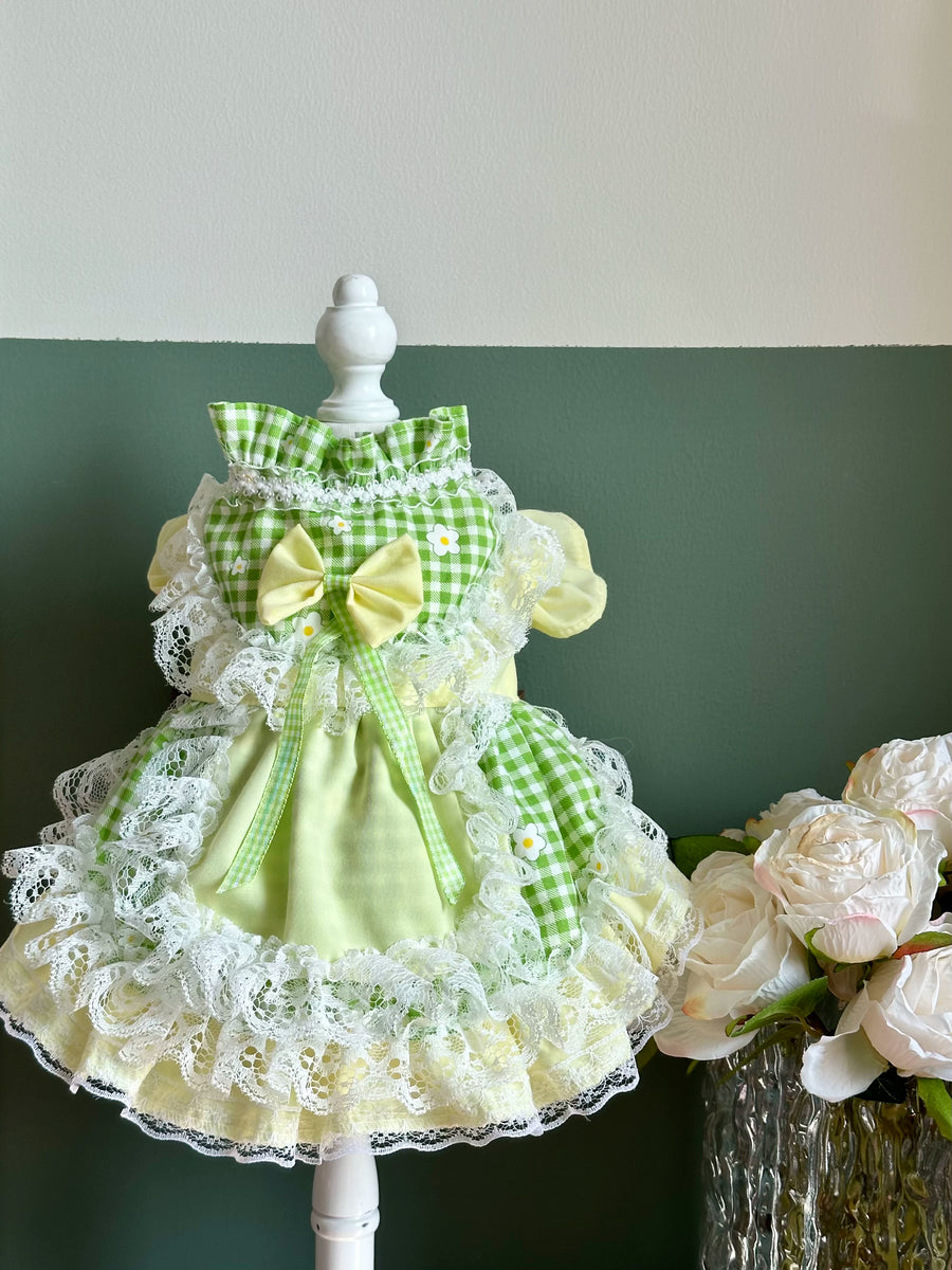 Melon Milkshake Picnic Clothes for Small Dogs, Cute Cat Clothes - image 2