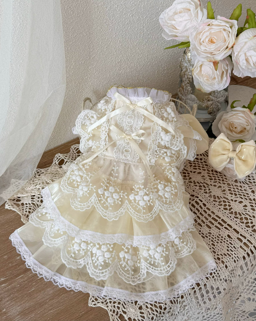Beige Iridescent Lace Pearl Pet Dress for Cats and Small Dogs - Image 3