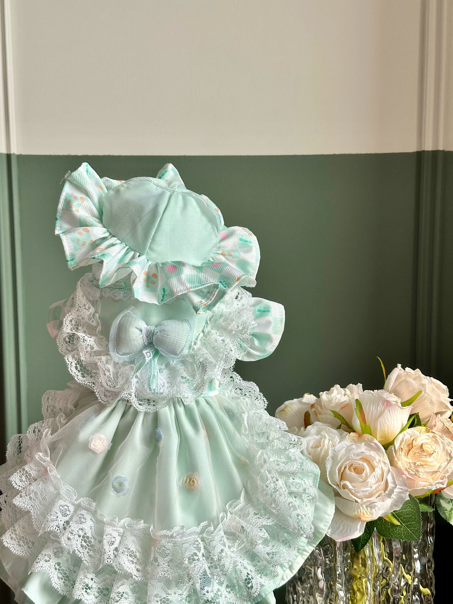 Mint Green Lace Rose Cat Princess Dress, Cat Apparel - image 9