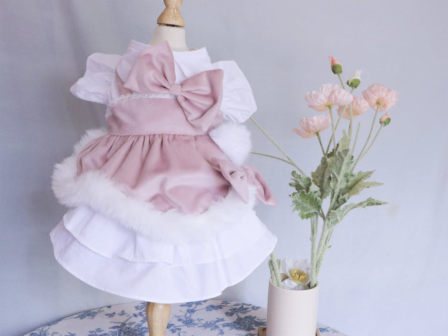 Warm Velvet Lolita Cat Winter Clothes, Dog Clothes for Small Dogs