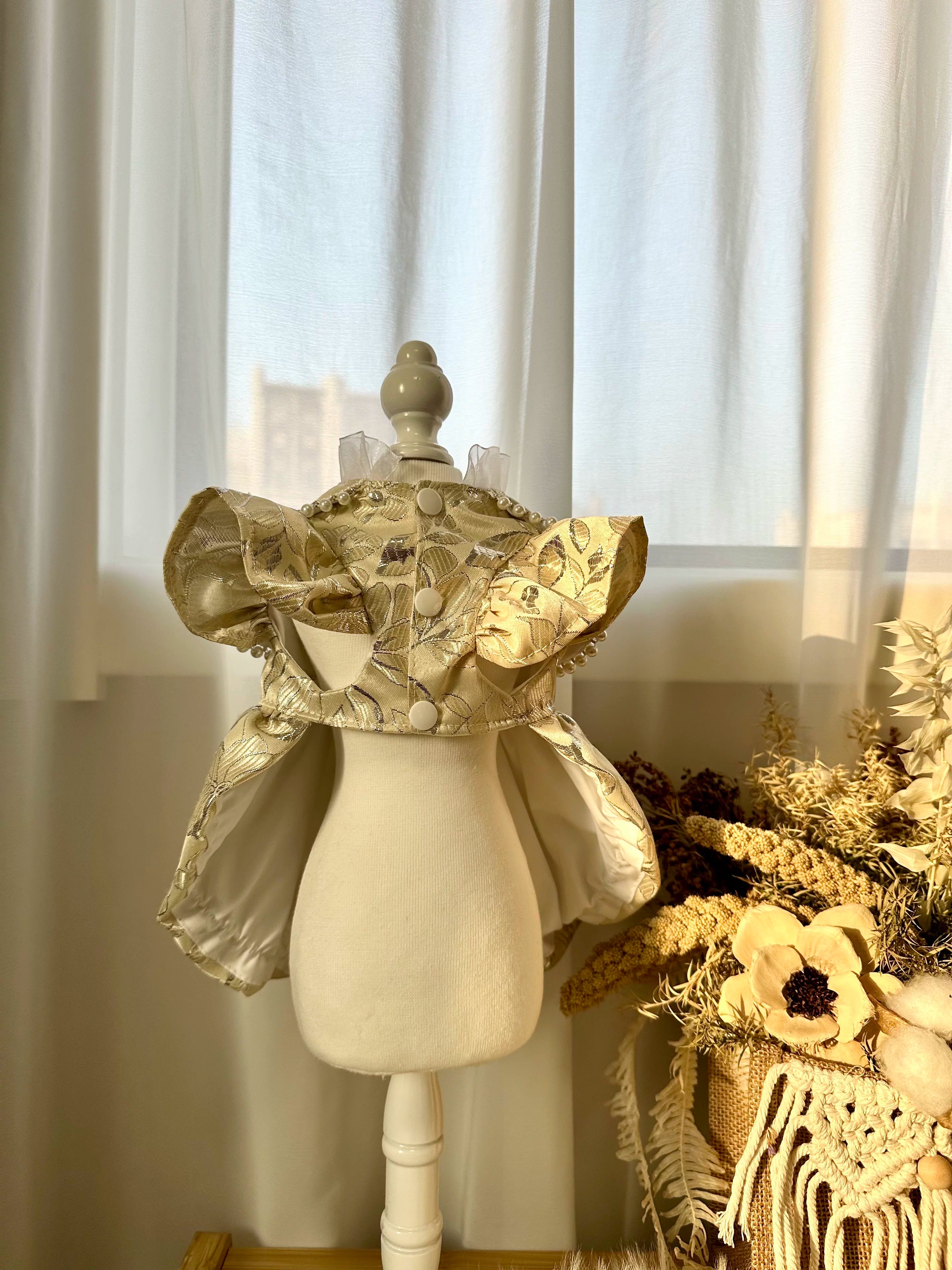 Champagne Chinese New Year Dog Outfit, Pet Clothes