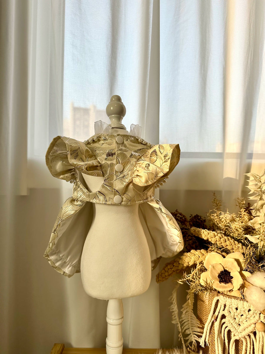 Champagne Chinese New Year Dog Outfit, Pet Clothes