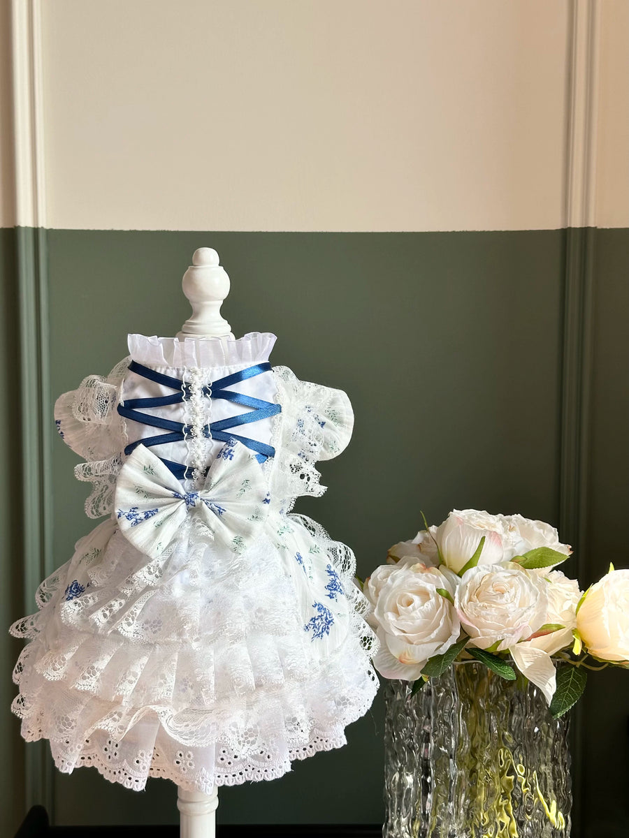 Blue Porcelain Lace Cat Princess Dress, Cat Apparel - image 1