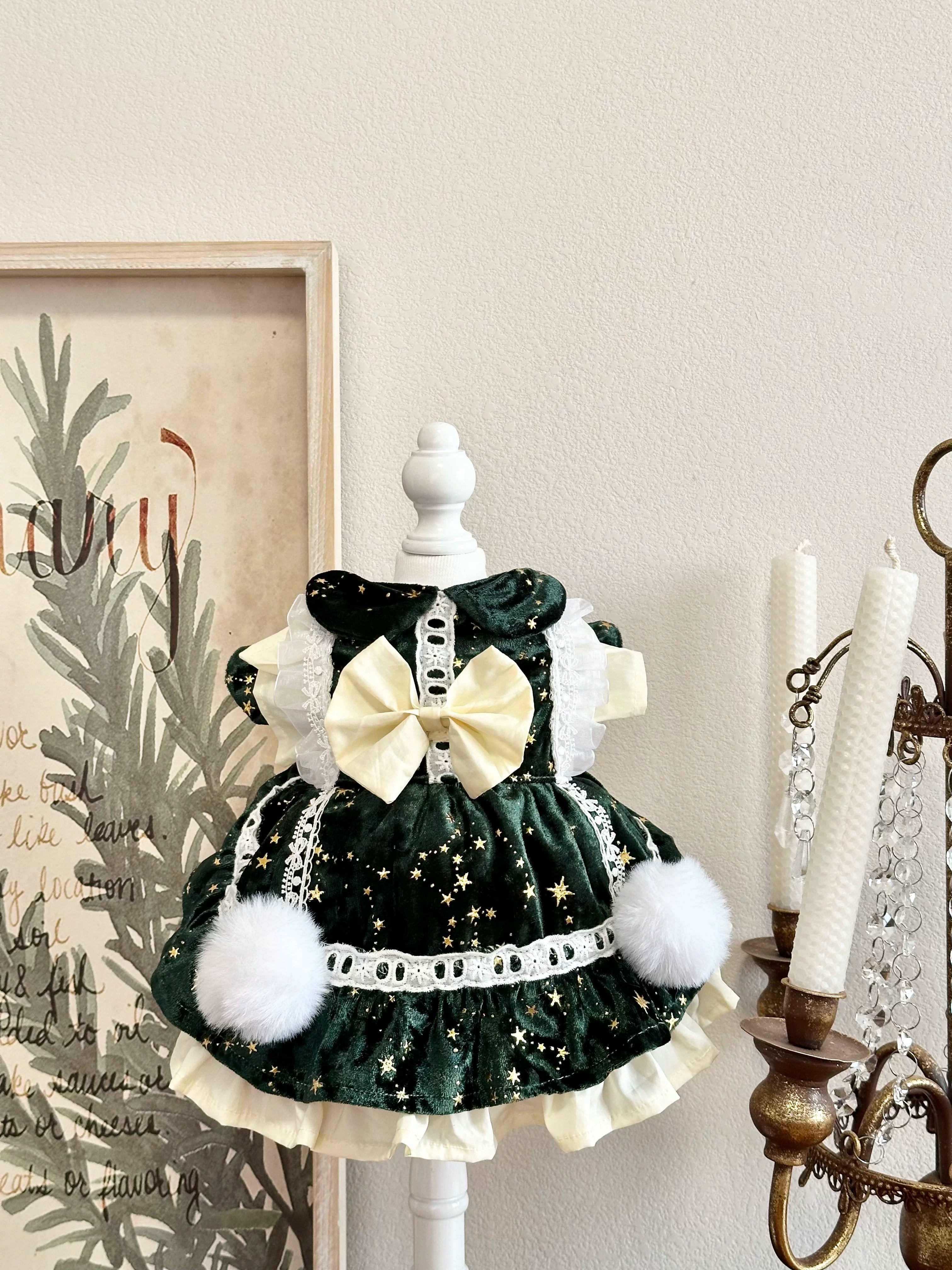 Green Sparkle Winter Small Dog Clothes, Cat Winter Clothes - image 8
