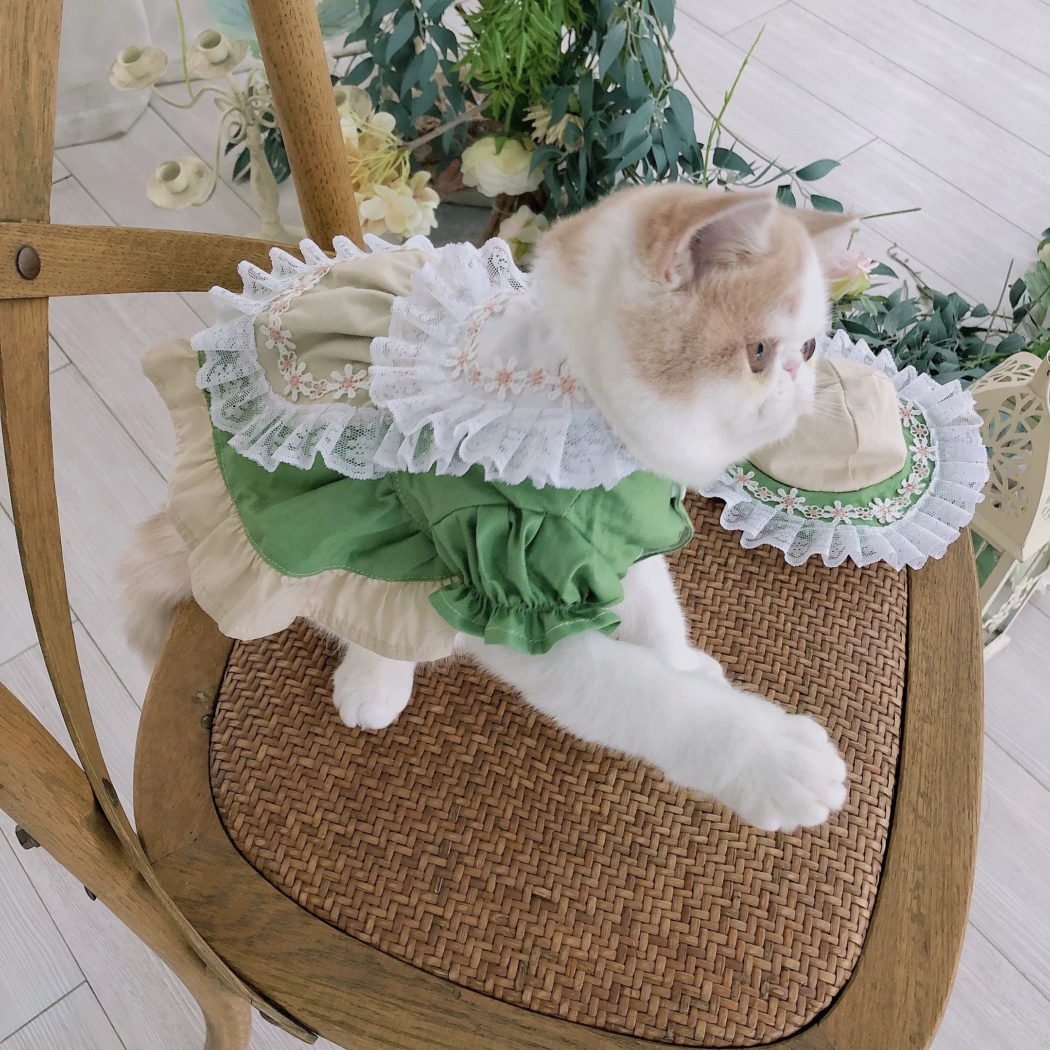 Maid Style Cat Outfit, Clothes for Small Dogs with Hat