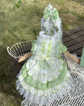 Lucky Clover Vacation Pet Dress for Dogs and Cats