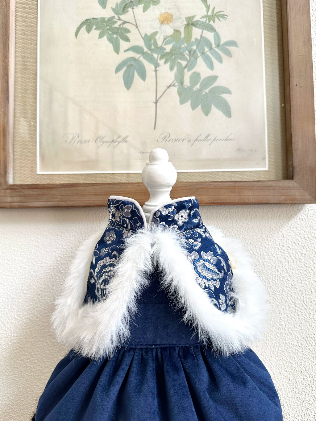 Sapphire Blue Cat Clothes, Cat Winter Clothing Outfit