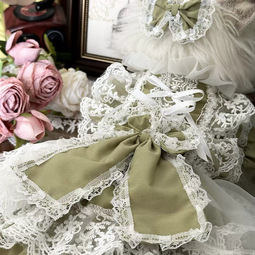 Matcha Picnic Pet Dress with Leash-Friendly Design