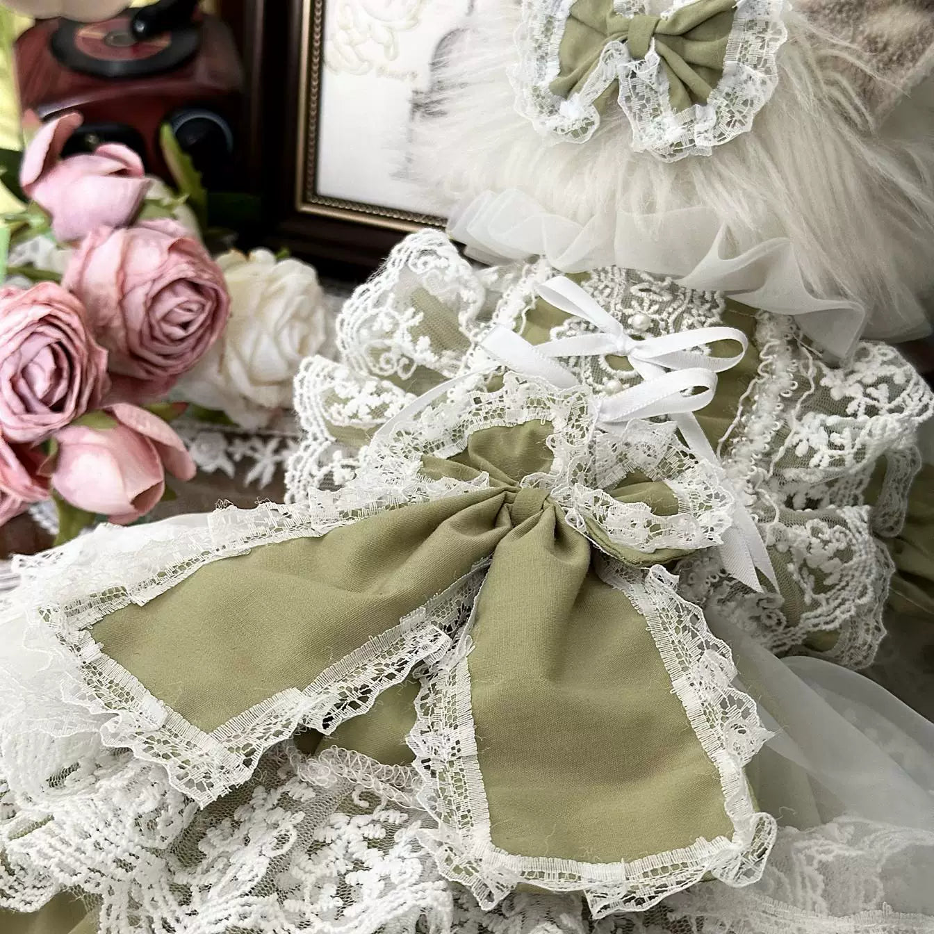 Matcha Picnic Pet Dress with Leash-Friendly Design