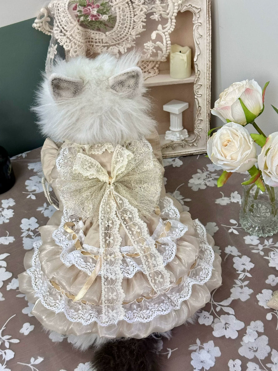 Vintage Gold Mesh Cat Wedding Outfit, Elegant Pet Dress