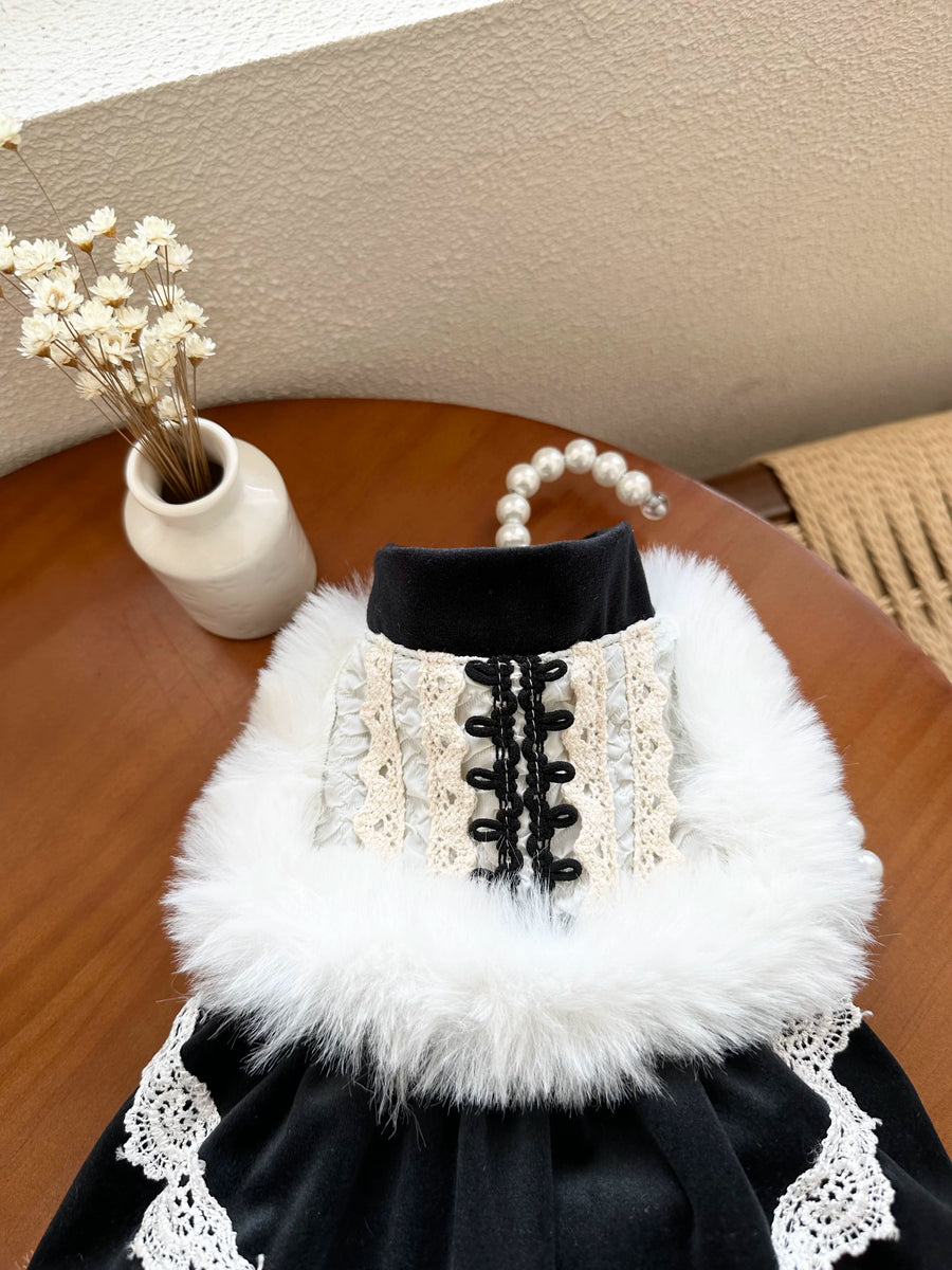 Black Velvet Cat Dress, Cat Winter Clothes Party Outfit