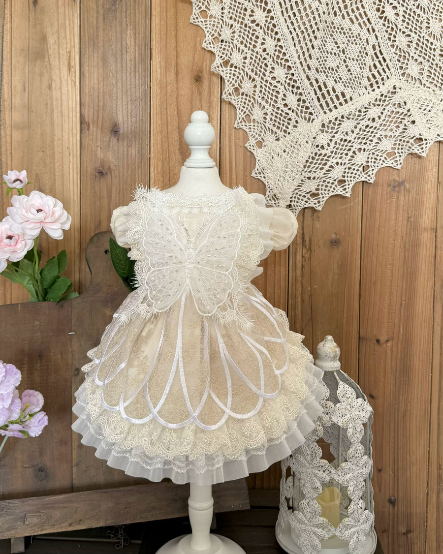 Rontop beige lace pearl butterfly pet dress for cats and small dogs