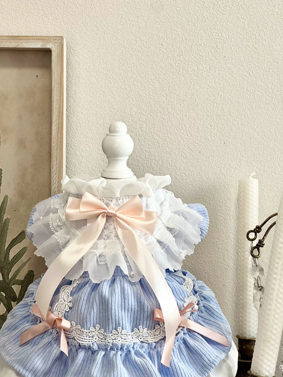 Blue Corduroy Cat Clothes, Cat Winter Clothes Cozy Dress