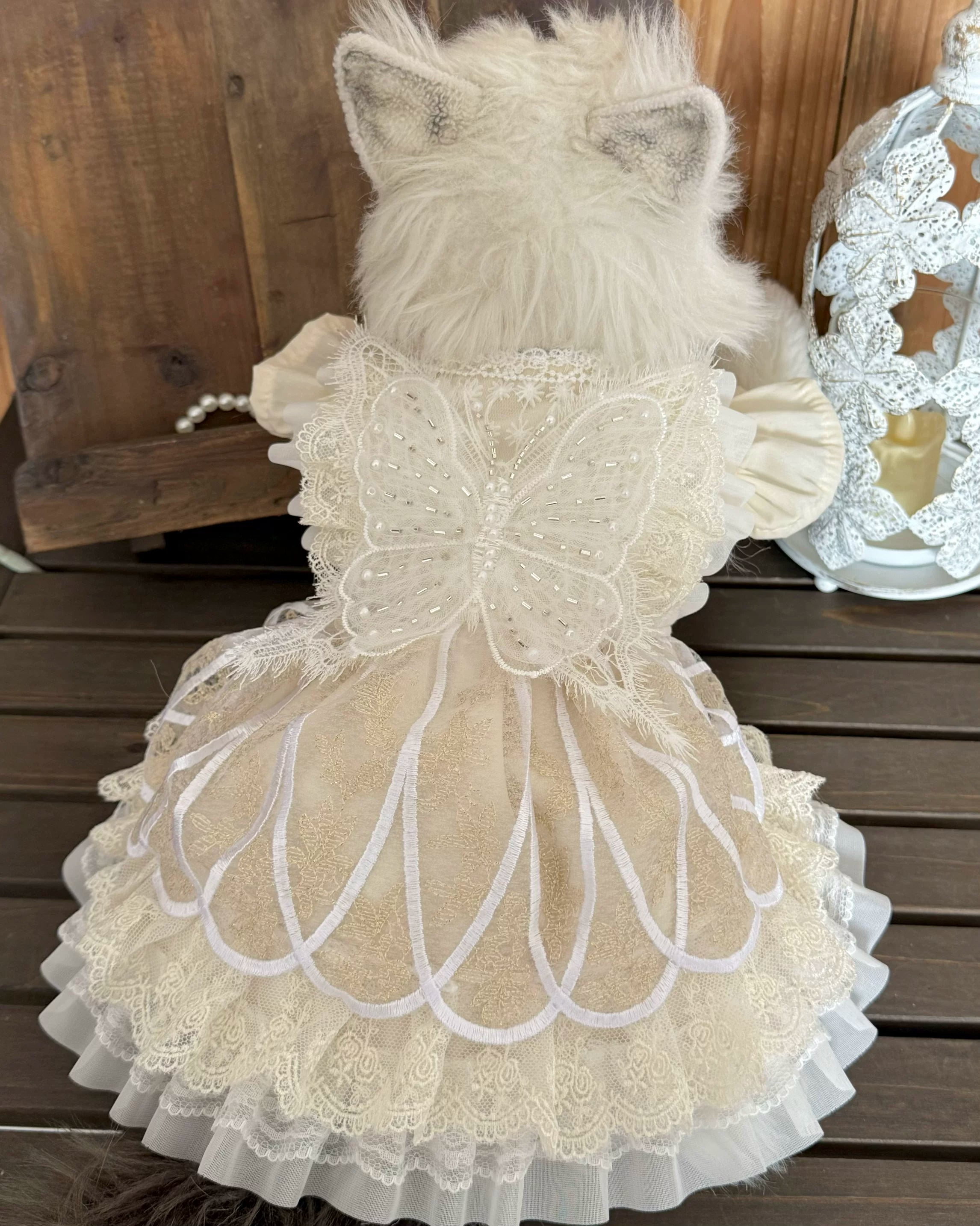 Rontop beige lace pearl butterfly pet dress for cats and small dogs
