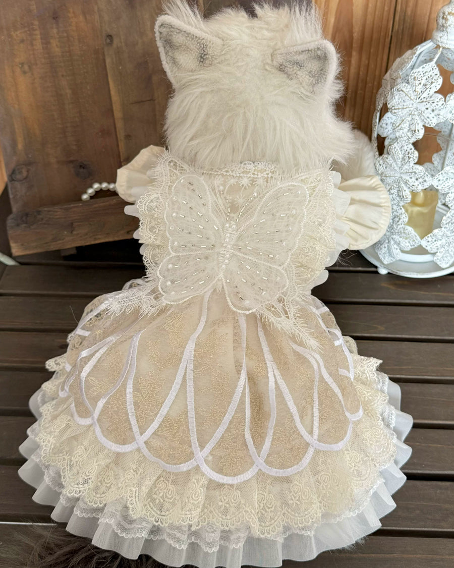 Rontop beige lace pearl butterfly pet dress for cats and small dogs