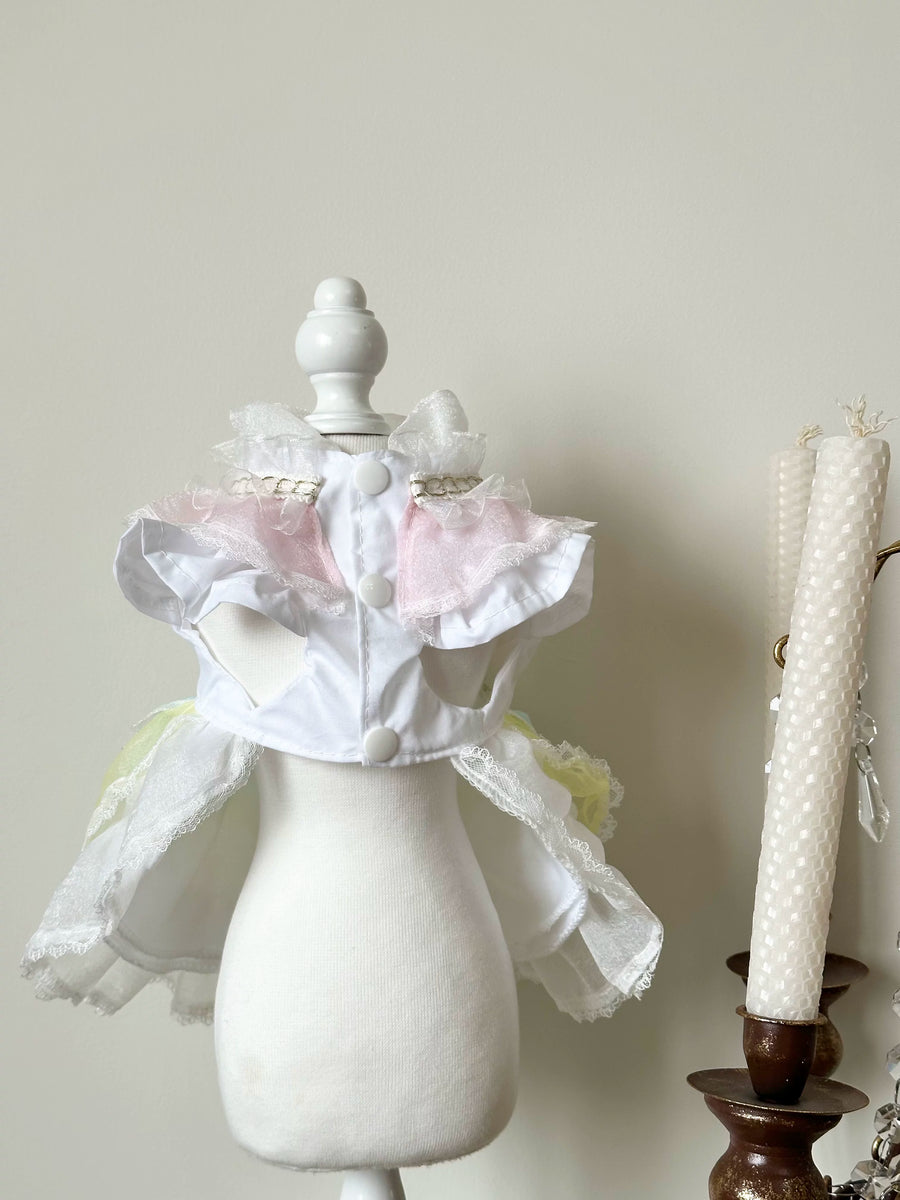 Macaron Dream Tulle Dog Dress, Pet Dress - image 10